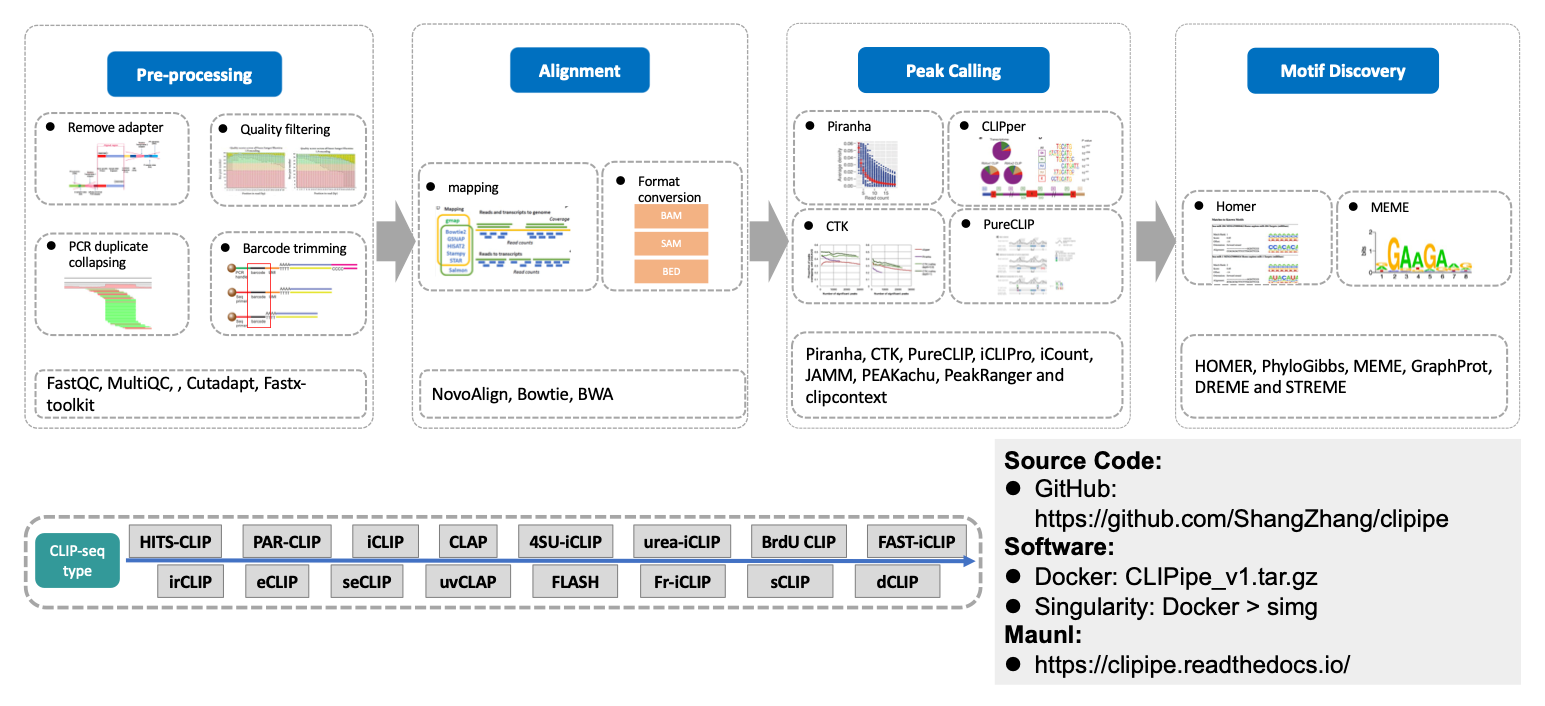 Pipeline of Tutorial